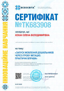 №TK683908