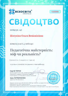№TL033496
