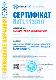 №TL113910