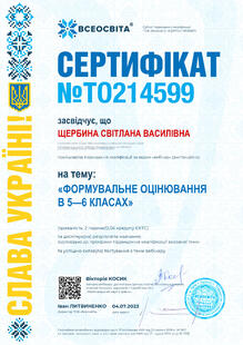№TO214599