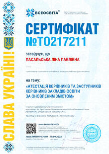 №TO217211
