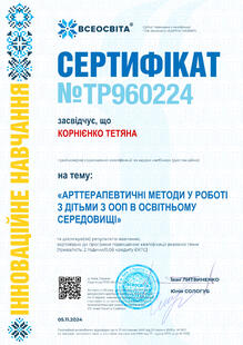 №TP960224