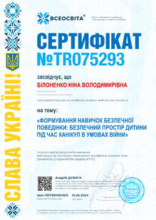 №TR075293