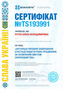 №TS193991