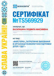 №TS569929