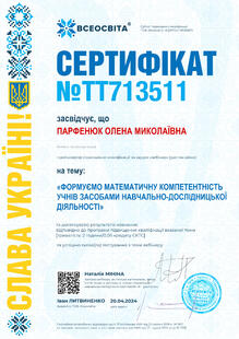 №TT713511