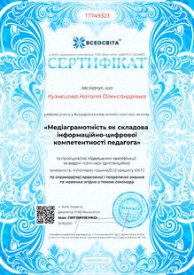 №TT749323