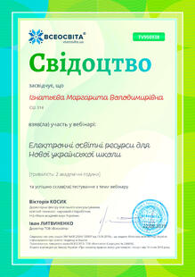 №TV950938