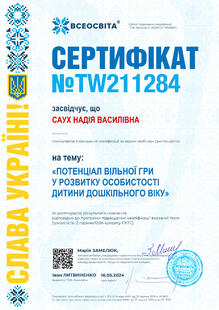 №TW211284