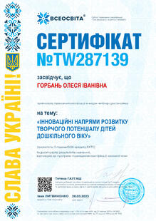 №TW287139