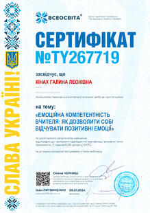 №TY267719