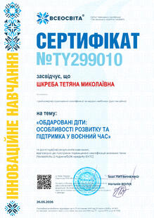 №TY299010