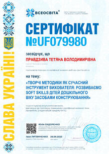 №UF079980