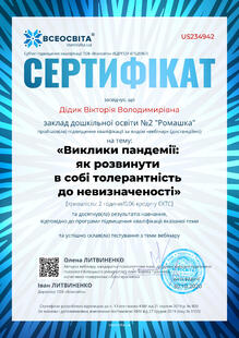 №US234942