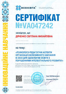 №VA047242