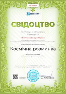 №VA298499