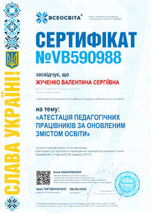 №VB590988