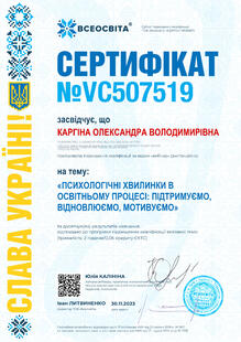 №VC507519