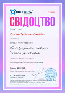 №VC990066