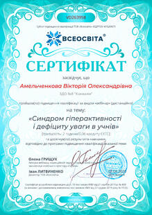 №VD263958