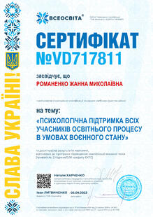 №VD717811