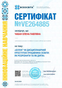 №VE264885