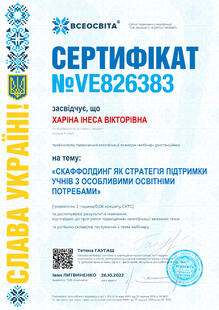 №VE826383