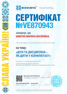 №VE870943