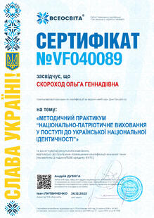 №VF040089