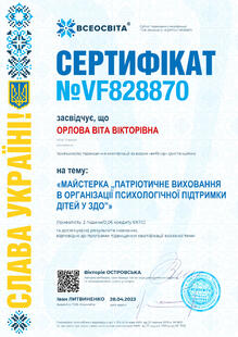 №VF828870