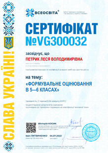 №VG300032