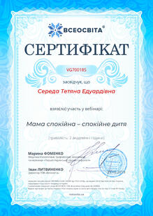 №VG700185