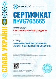 №VG765665