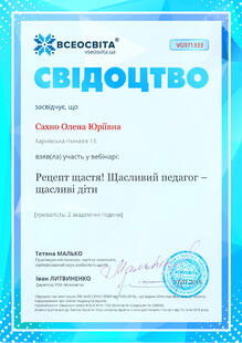 №VG971333