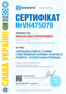 №VH475079