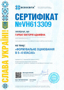 №VH613309