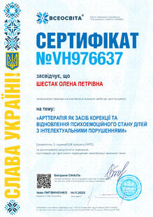 №VH976637