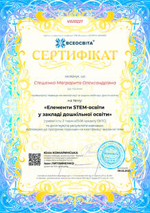 №VI533227