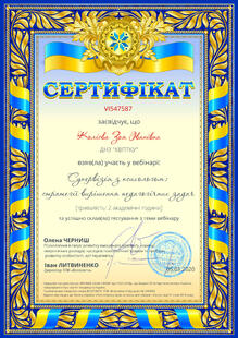 №VI547587