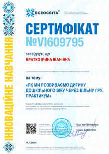 №VI609795