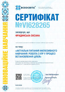 №VI628265