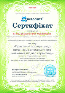 №VI864999
