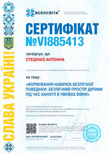 №VI885413