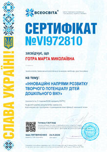 №VI972810