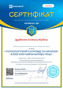 №VJ247622