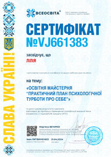 №VJ661383