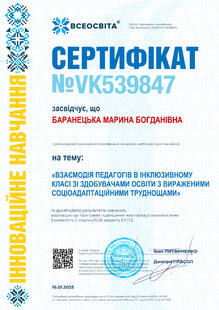№VK539847