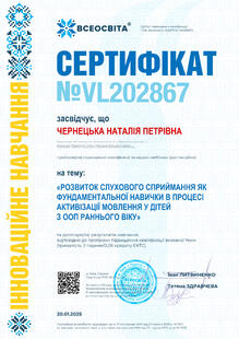 №VL202867