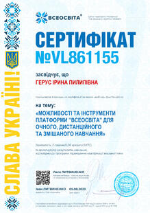 №VL861155