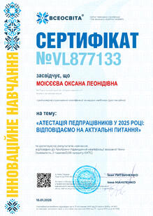 №VL877133